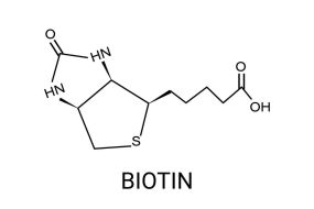 Molekül-Strukturformel Biotin