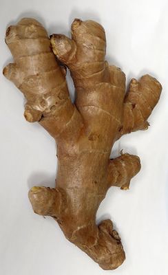 Ingwerwurzel