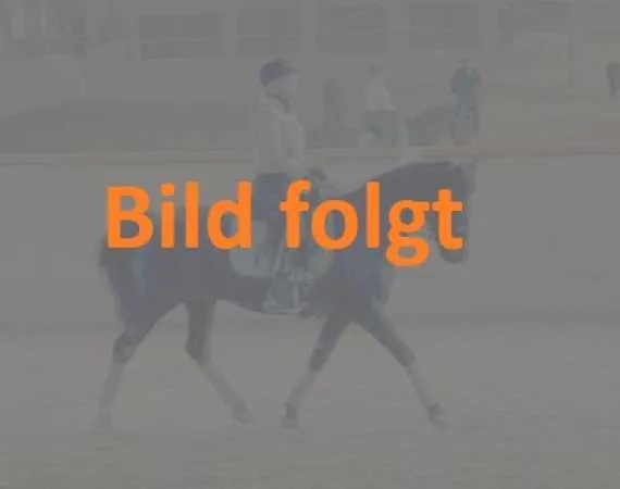 Herzgespann Pulver geprüfte Qualität für Hunde