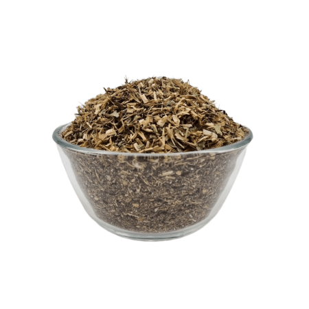 Siegtal Echinacea geschnitten Premium in einer Schale