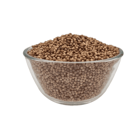 Ganzer Koriander für Pferde in Premium Qualität