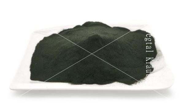 Siegtal Chlorella fuer Pferde lose auf einem Teller