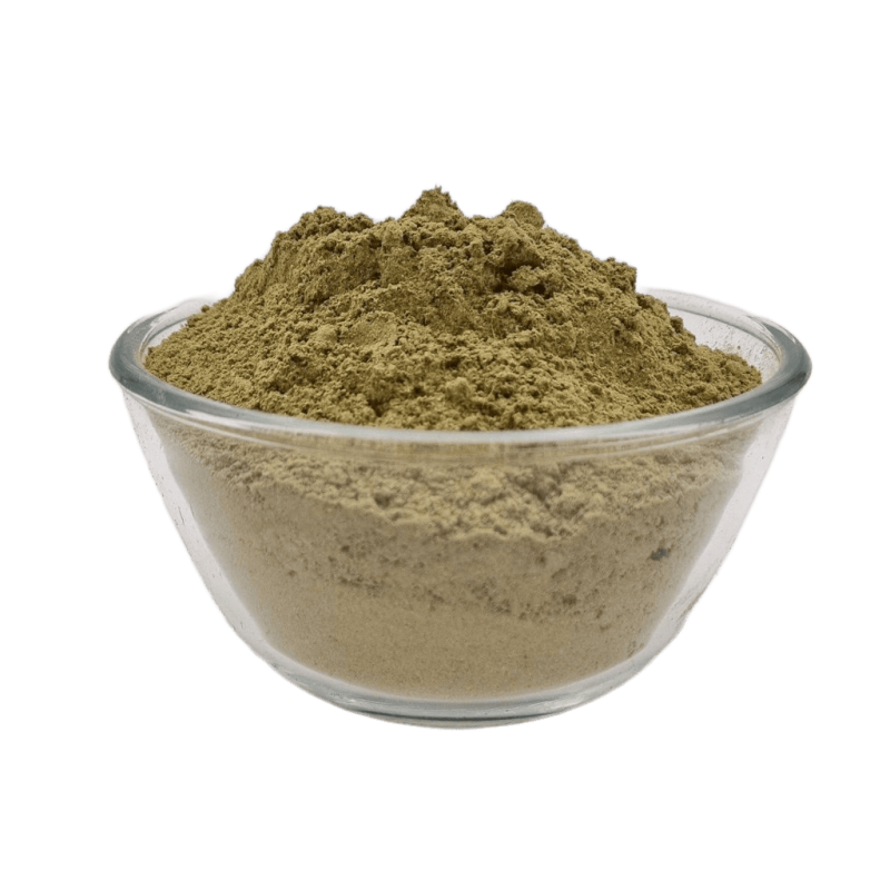 Siegtal Ackerschachtelhalm (Zinnkraut) Pulver für Hunde in Premium Qualität