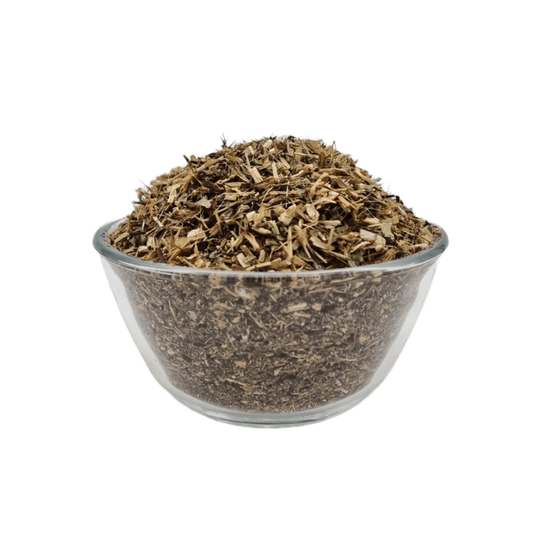 Siegtal Echinacea geschnitten Premium in einer Schale