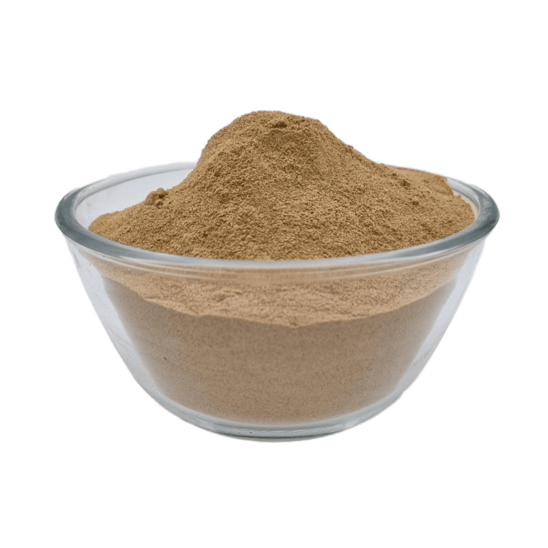 Siegtal Neuseeländisches Grünlippmuschel Pulver für die Gelenkversorgung von Hund und Pferd