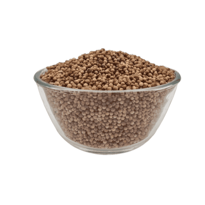 Ganzer Koriander für Pferde in Premium Qualität