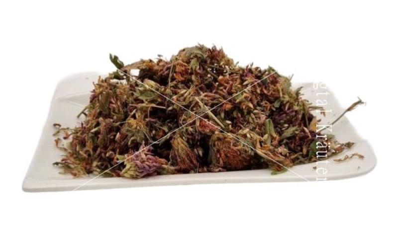 Rotkleeblüten ganz für Pferde