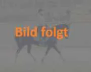 Herzgespann Pulver geprüfte Qualität für Hunde