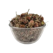 Siegtal Rotkleeblüten ganz für Pferde